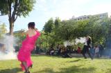 Garden Party 28 * 5184 x 3456 * (9.69MB)
